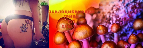 круглые Абаза