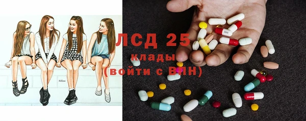 ГАЛЛЮЦИНОГЕННЫЕ ГРИБЫ Приозерск