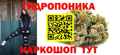 крисы Михайловка