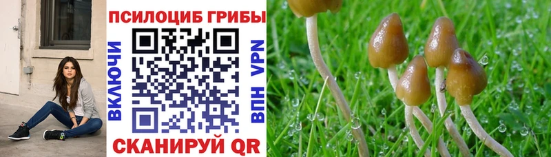 Псилоцибиновые грибы мицелий  Лиски 