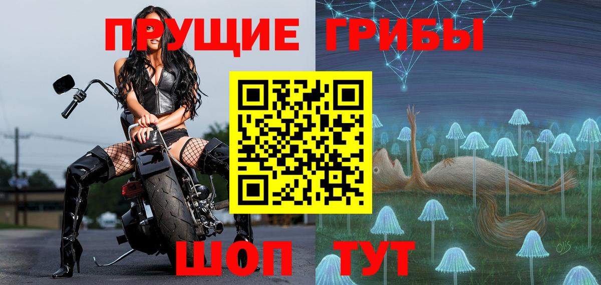 Галлюциногенные грибы Psilocybine cubensis Лиски